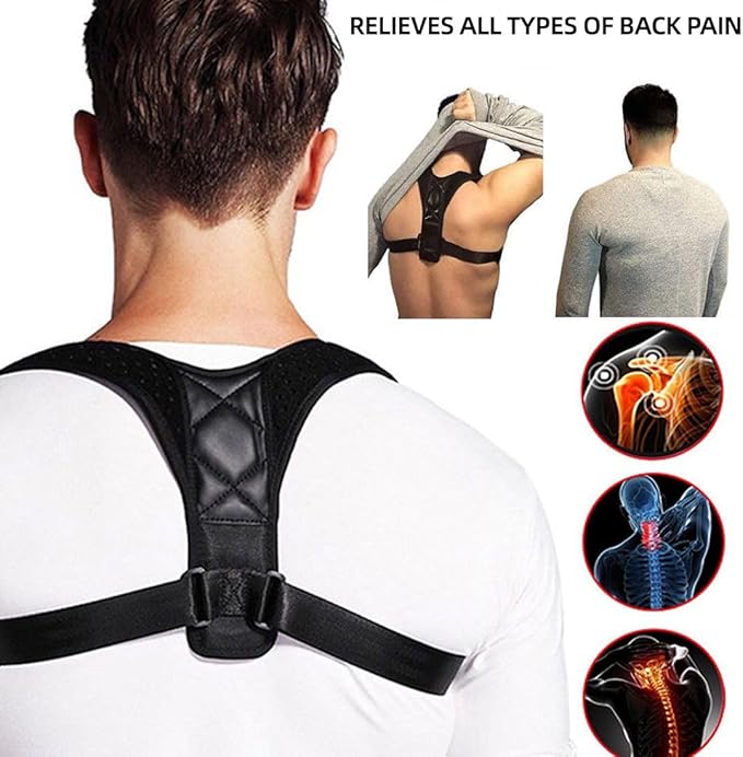 Protection Dorsale